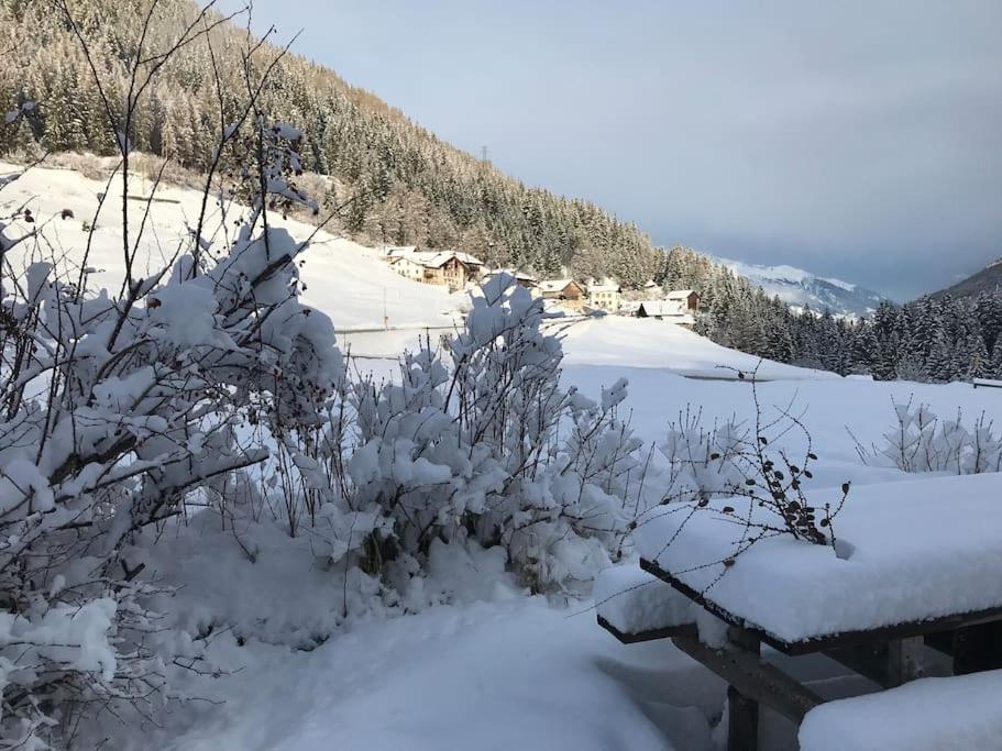 Chalet Rustico Bertolini Per Gruppi! Villa Vermiglio Buitenkant foto