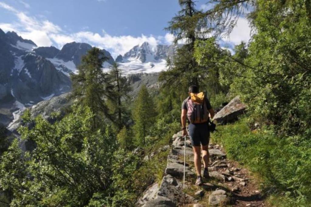 Chalet Rustico Bertolini Per Gruppi! Villa Vermiglio Buitenkant foto