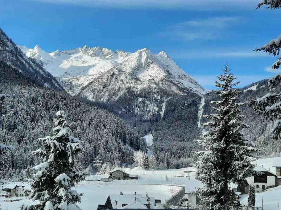 Chalet Rustico Bertolini Per Gruppi! Villa Vermiglio Buitenkant foto
