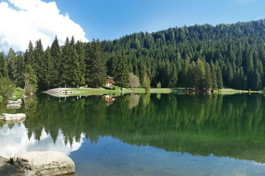 Chalet Rustico Bertolini Per Gruppi! Villa Vermiglio Buitenkant foto