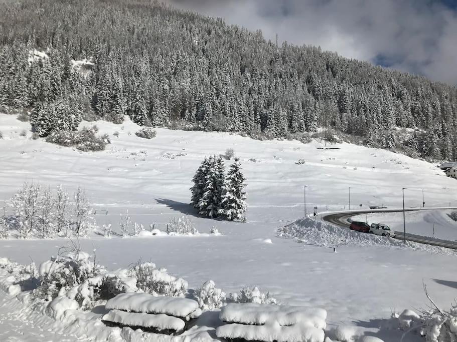 Chalet Rustico Bertolini Per Gruppi! Villa Vermiglio Buitenkant foto